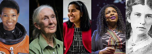 The Transformative Power of Sharing Women in STEM Success Stories