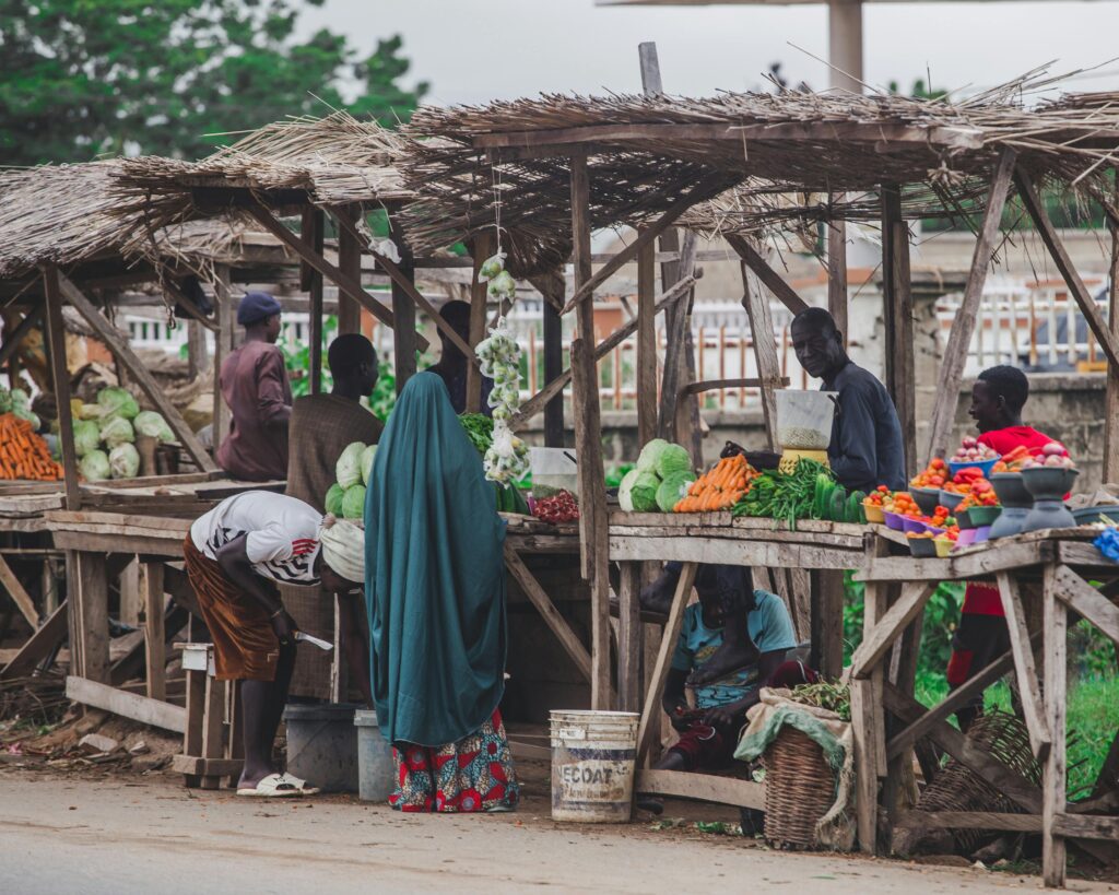 How AI Can Revolutionize Sustainable Agriculture in Africa