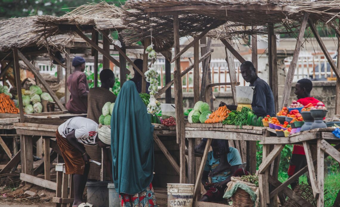 How AI Can Revolutionize Sustainable Agriculture in Africa